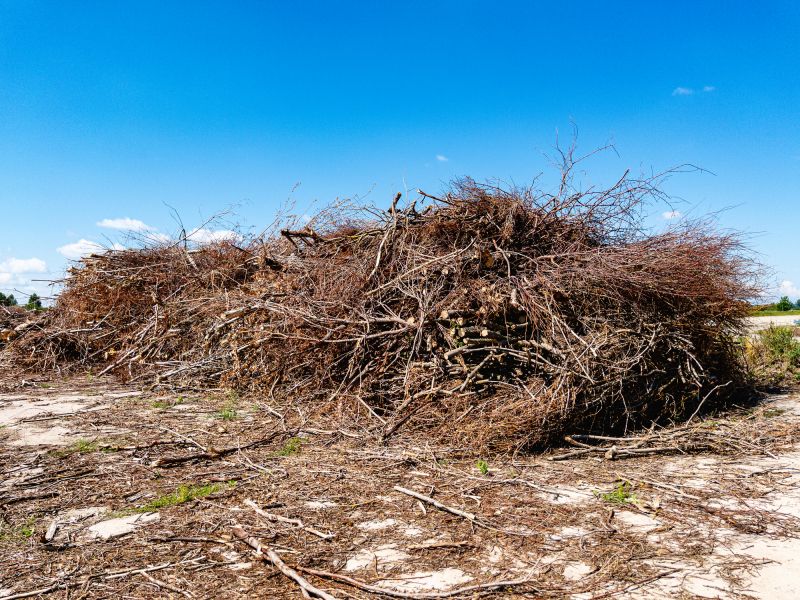 Debris Removal Process