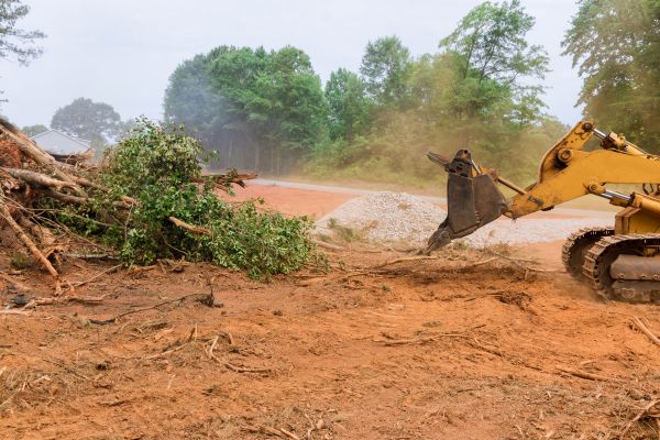 Ground Clearing in Holly Springs