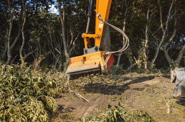 Brush Removal Service in Holly Springs