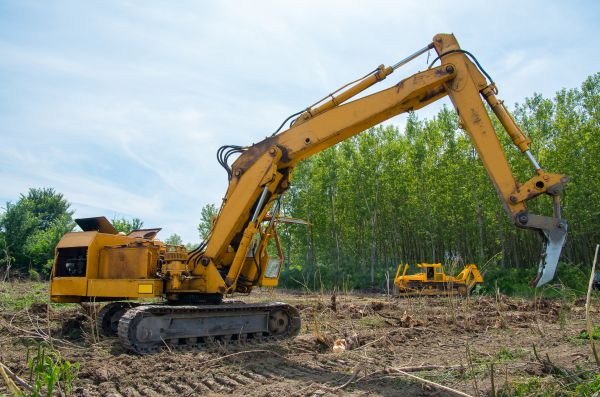 Farm Clearing in Holly Springs