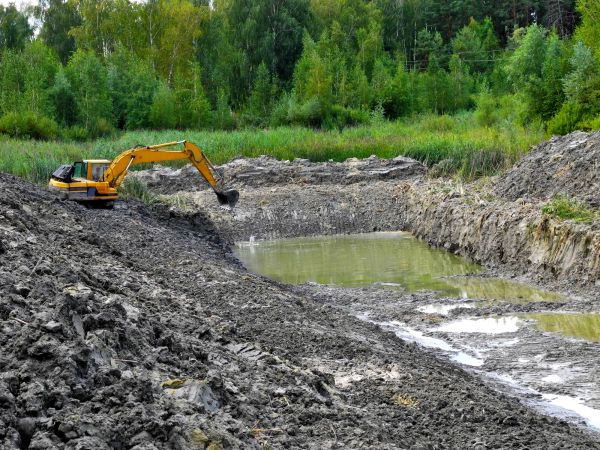 Cost of Lake Lot Clearing in Holly Springs