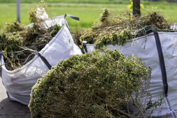 Bushes Clearing in Holly Springs