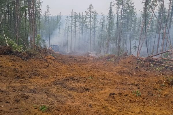 Cost of Hill Clearing in Holly Springs