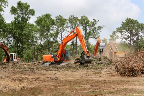 Commercial Lot Clearing in Holly Springs