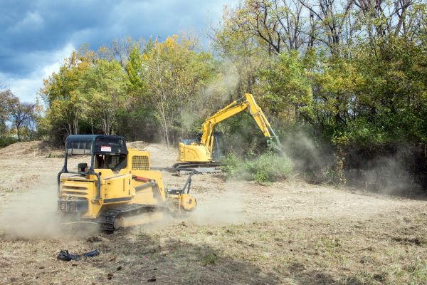 Terrain Clearing in Holly Springs